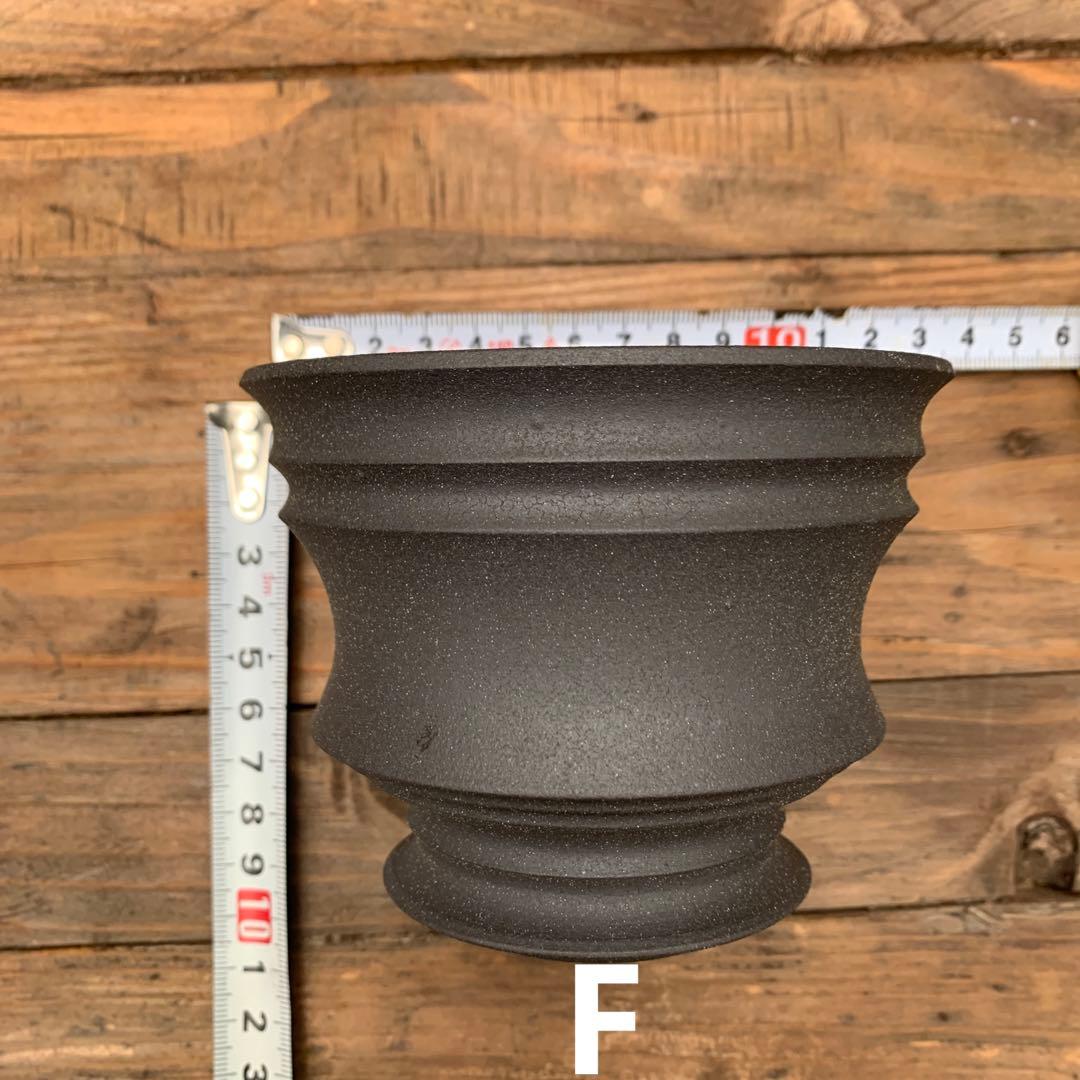 植木鉢 陶器 （塊根植物 アガベ パキプス ）