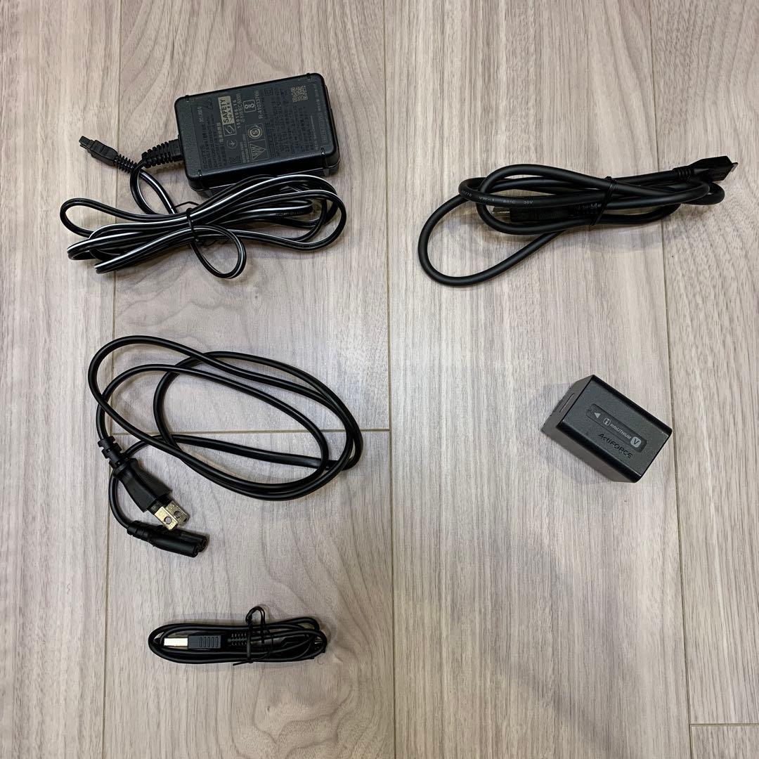 ソニー　SONY FDR-AX60 4K ビデオカメラ ハンディカム