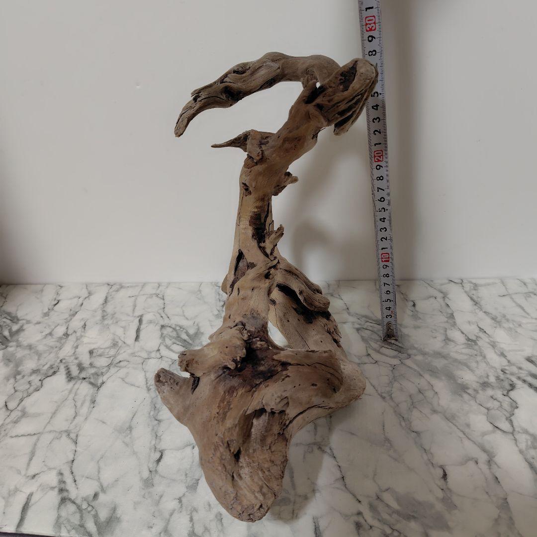 アク抜き済み流木【847】セール