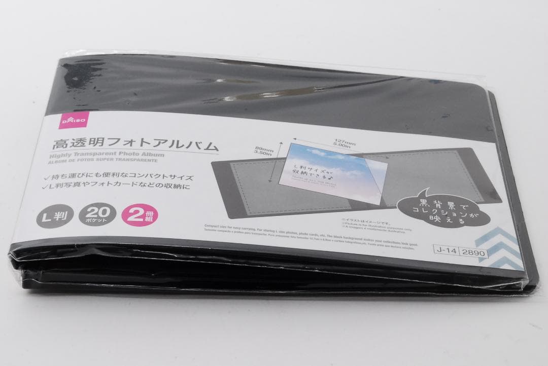 L判アルバム付 Nikon D40 美品✨標準レンズ