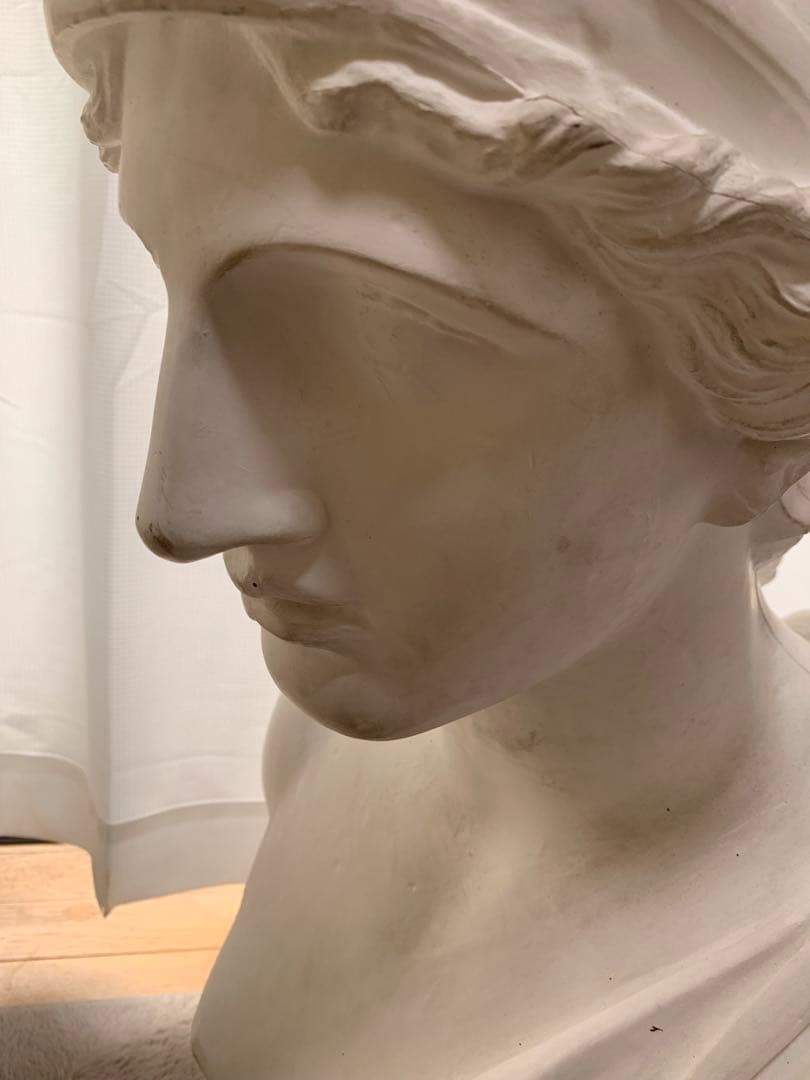 石膏像　デッサン　胸像　アマゾン