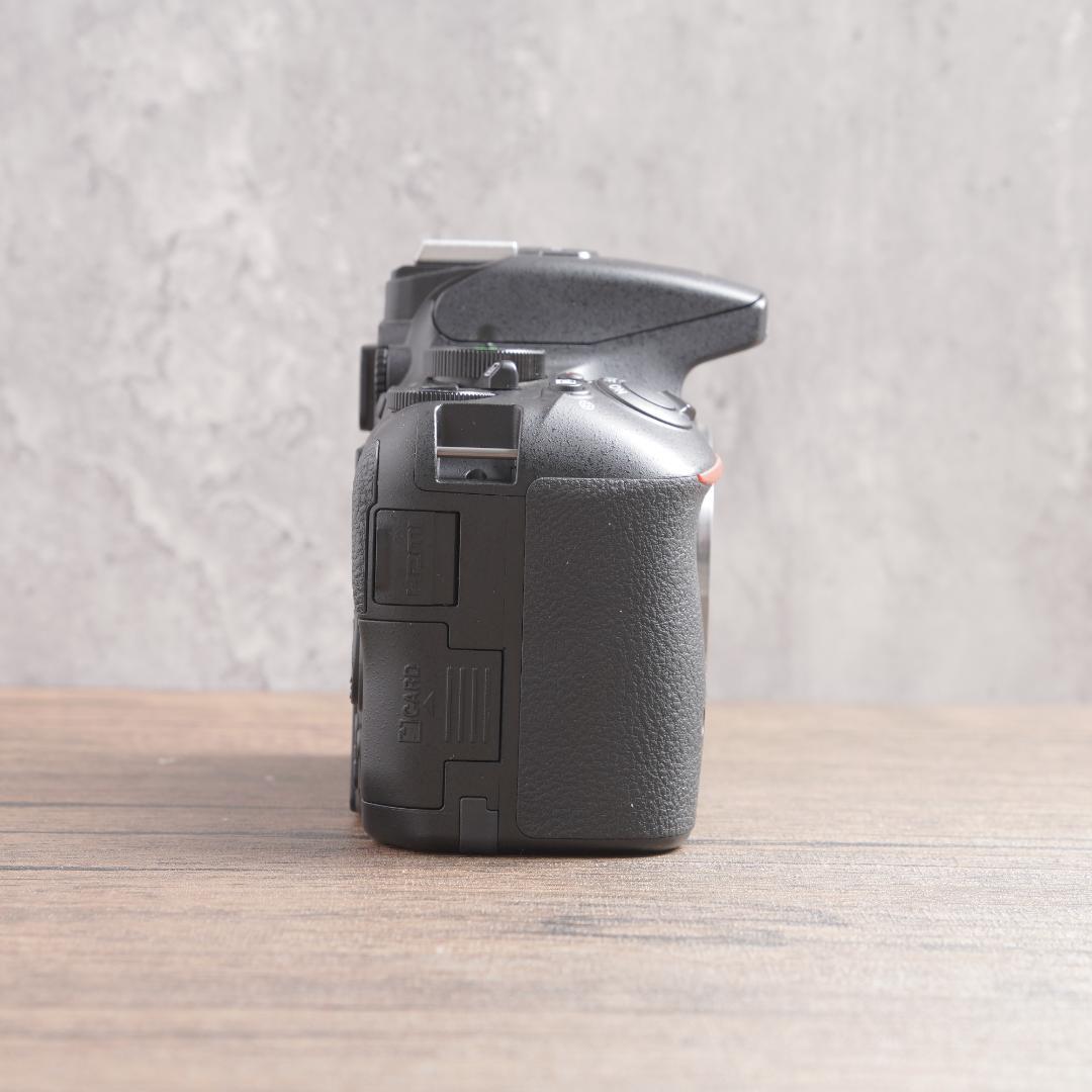 ✨ショット数4405回で美品✨Wi-Fi✨Nikon D5500　875-1