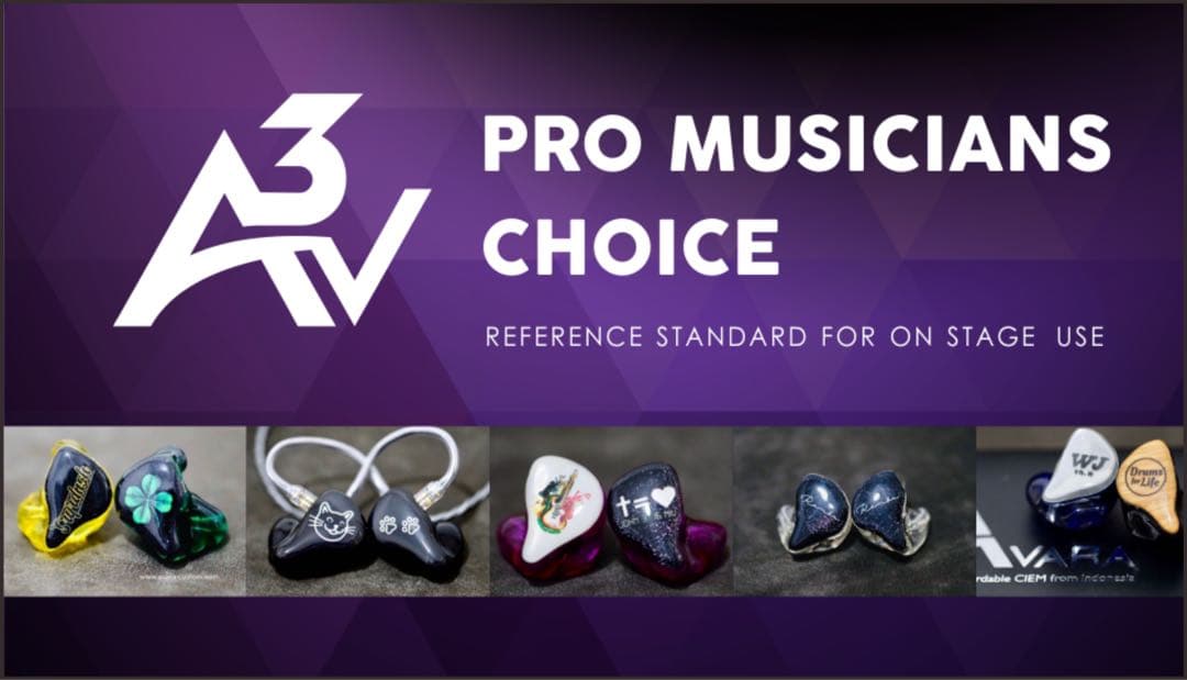 Avara AV3 カスタム iem