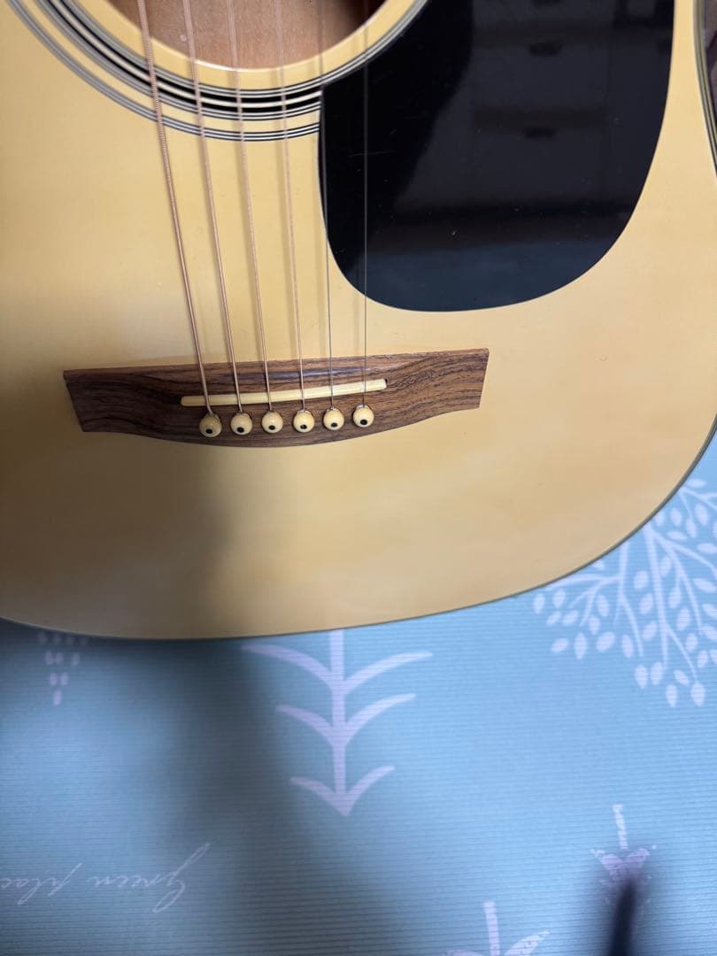 調整済‼️初心者の方必見‼️小振りサイズLegendのFG20WH‼️