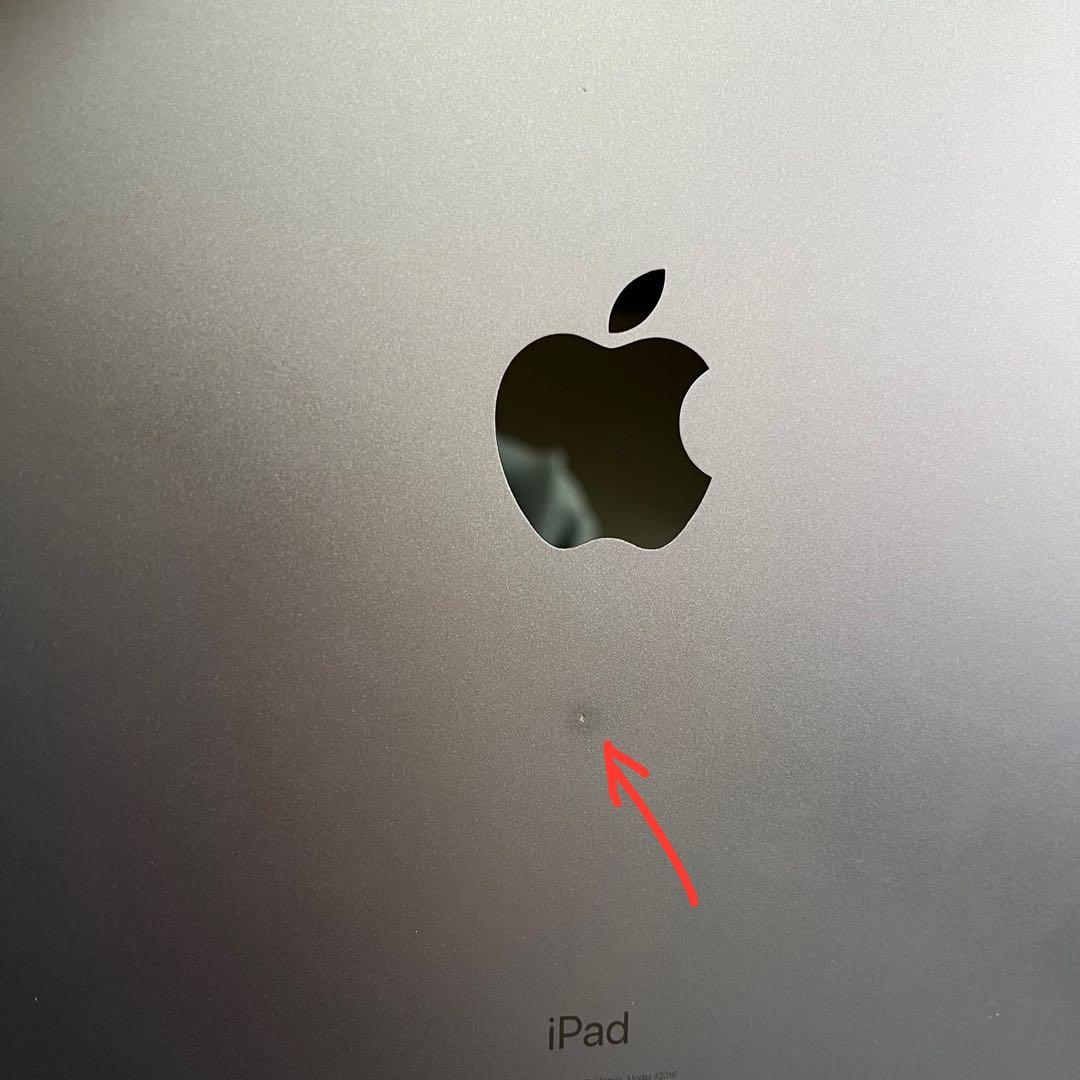 iPad Air (第4世代) 256GBブルー + Apple Pencil