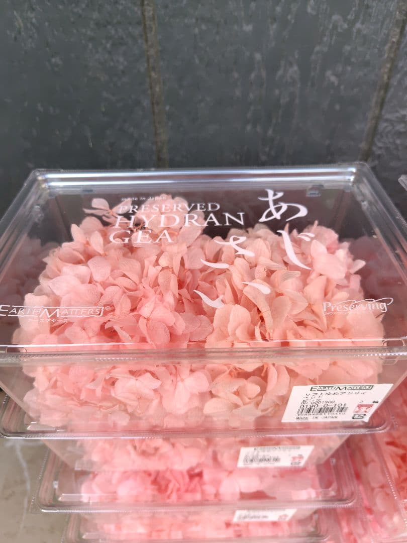 EARTH MATTERS プリザーブドアジサイ ピンク　12箱