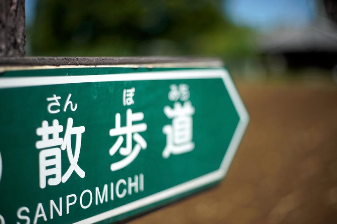 RICOH XR RIKENON 50mm f2 L 整備済 完動品 012