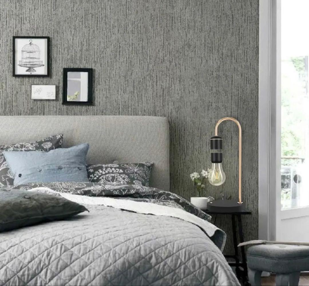 Vintage Bulb G LED 電球型 電球 電球が宙に浮かんで輝く照明