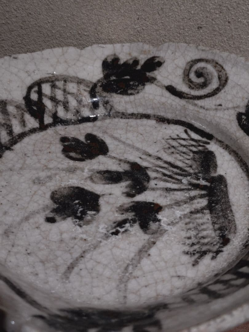 絵志野 蛇籠 草花紋 向付