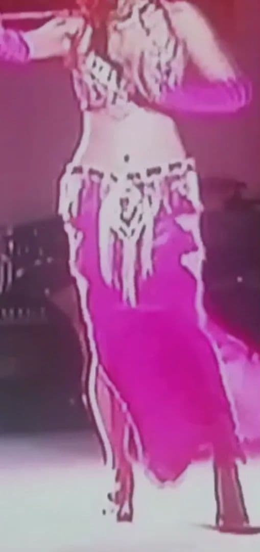 大幅お値下中 フューシャピンク ベリーダンス 衣装 ベロア アメリカ直輸入