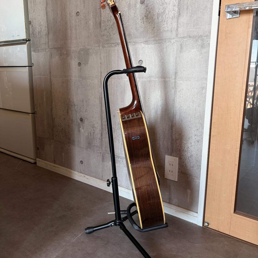 タカミネ　ガッドエレアコギター　PT-115N ST