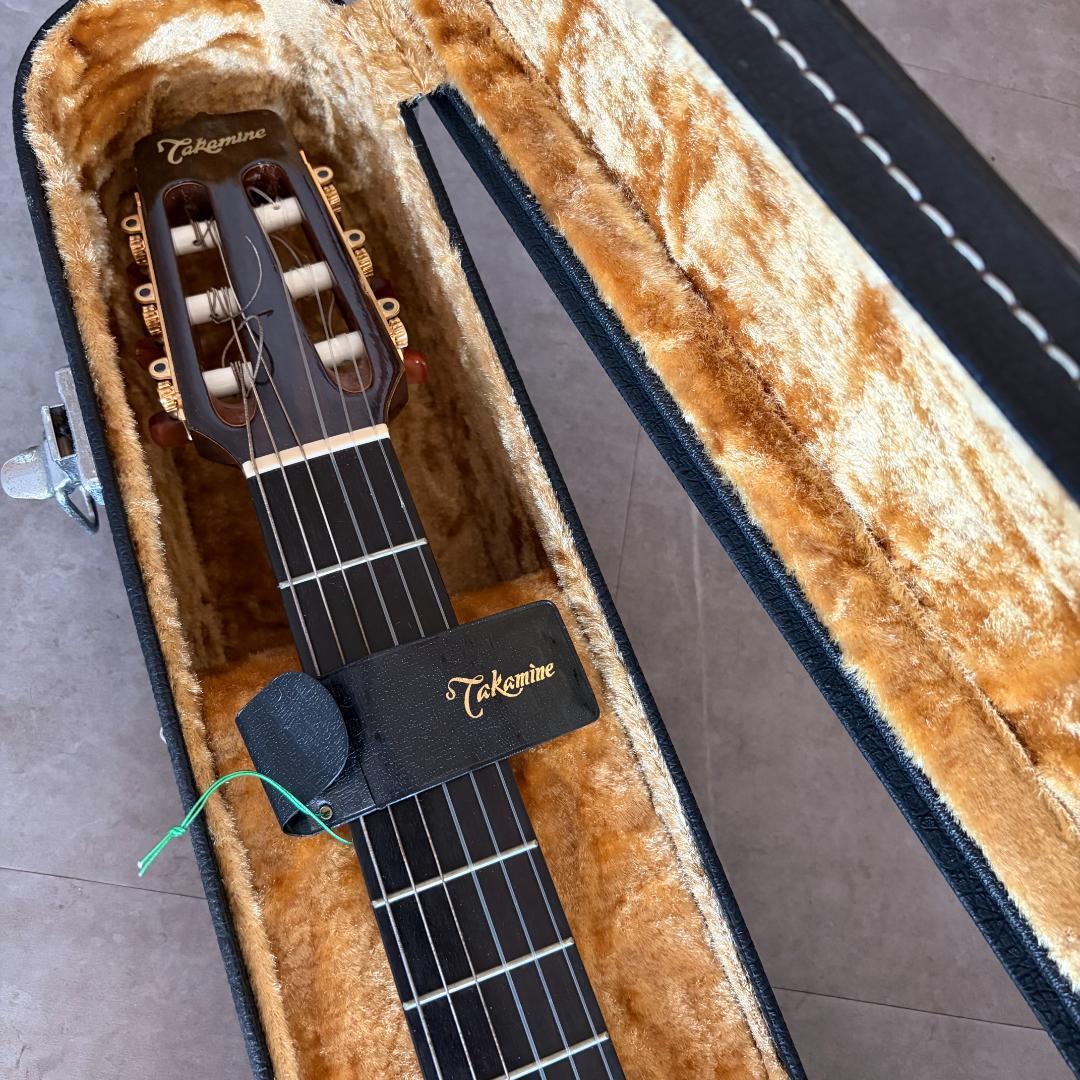 タカミネ　ガッドエレアコギター　PT-115N ST