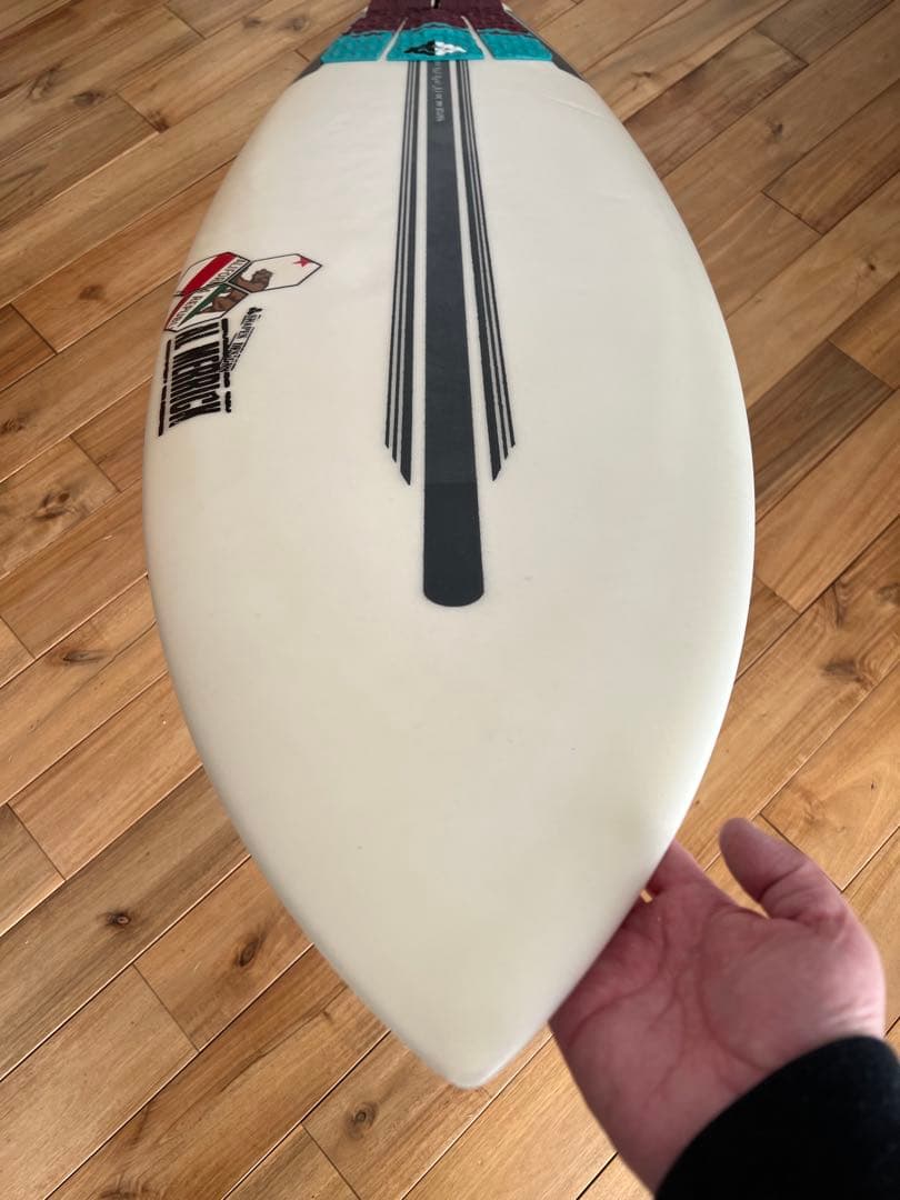 チャンネルアイランド　アルメリック　ネックベアード2