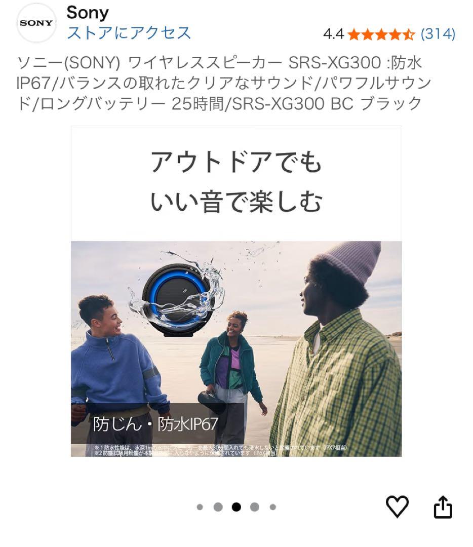 【！特別価格！】さらに【！専用ケース付き！】 ★SRS-XG300 グレー