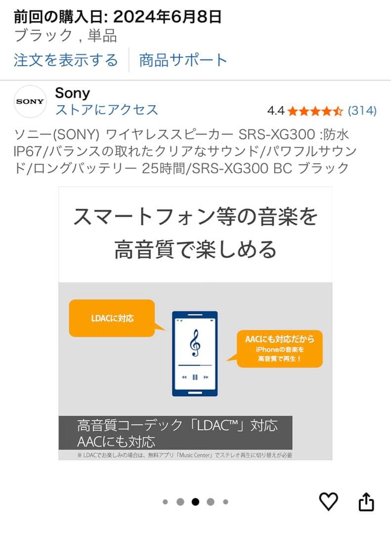 【！特別価格！】さらに【！専用ケース付き！】 ★SRS-XG300 グレー