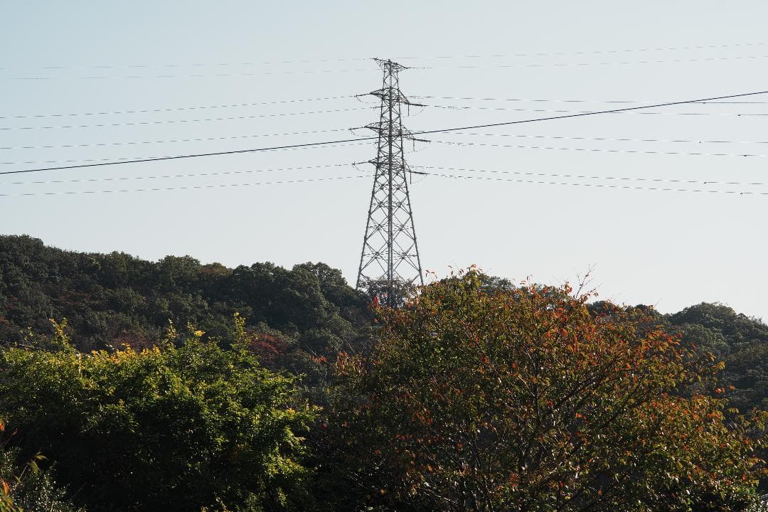 柔らかく滲む光が美しい Canon new FD 100mm F2.8 909