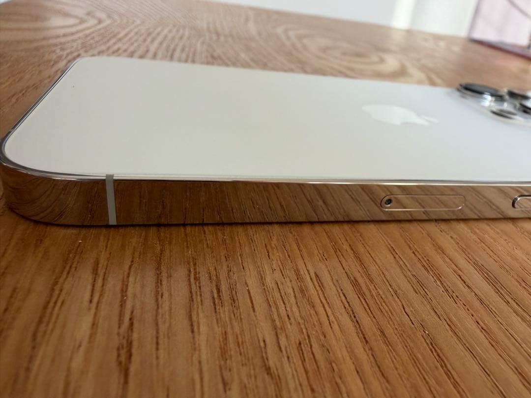 iPhone 13 Pro シルバー 256GB 本体のみ SIMフリー