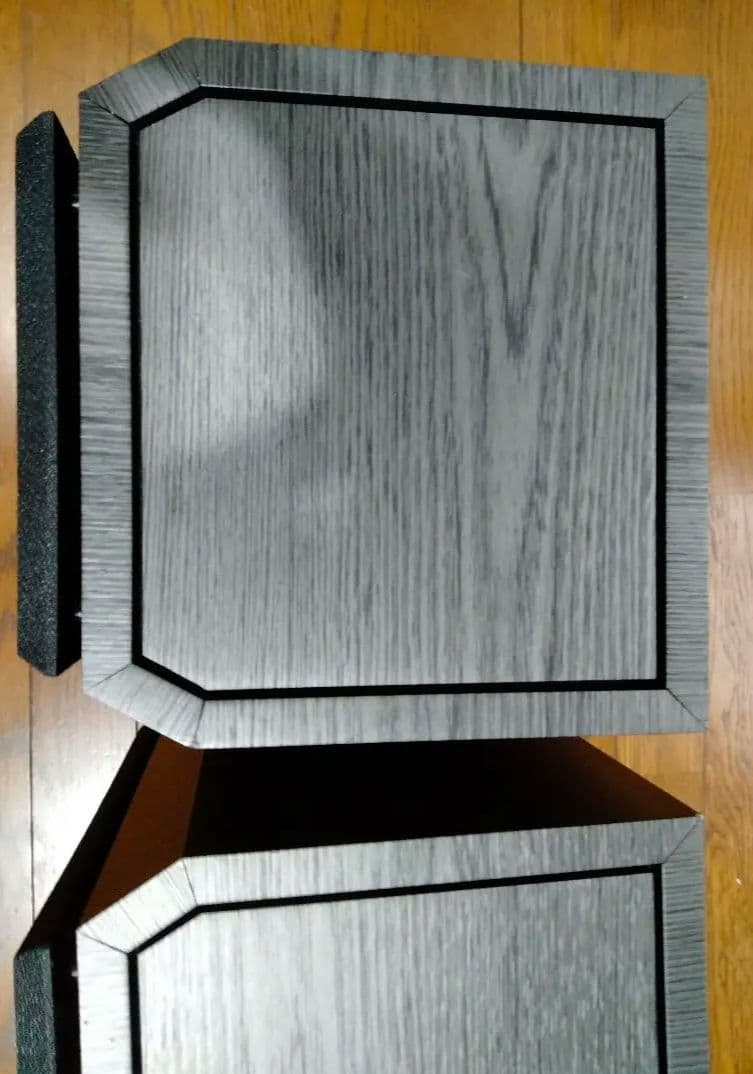 【Pro Cableさんおすすめ】BIC DV62si（中古）