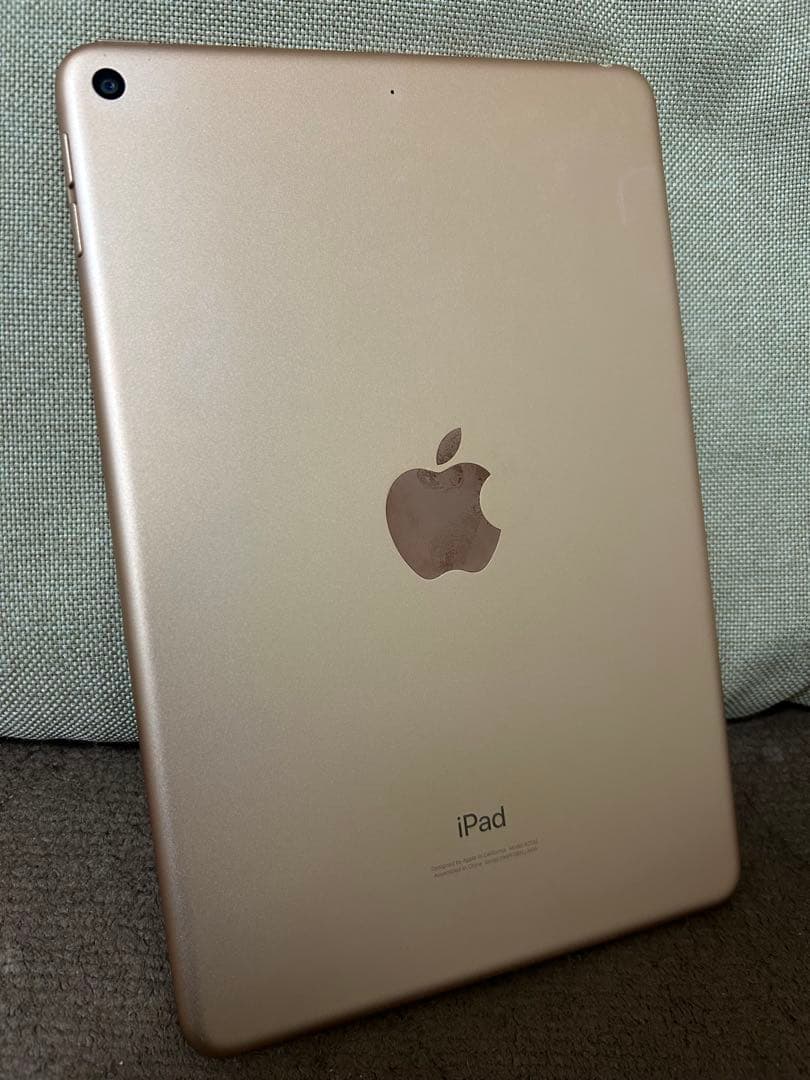iPad mini(第5世代) Wi-Fi 64GB