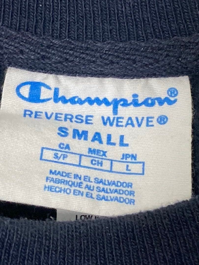 チャンピオン リバースウィーブ MICHIGAN　L