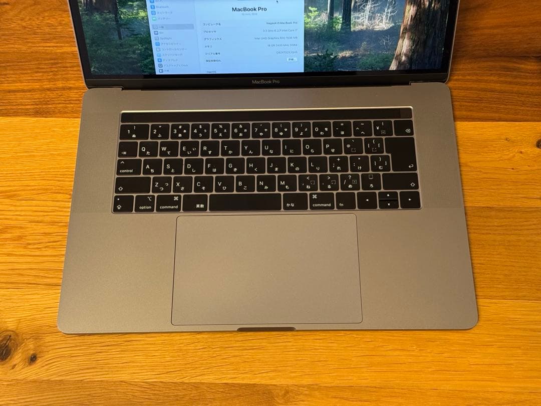 MacBook Pro15 2018 i7 16GB 512GB 動作確認済