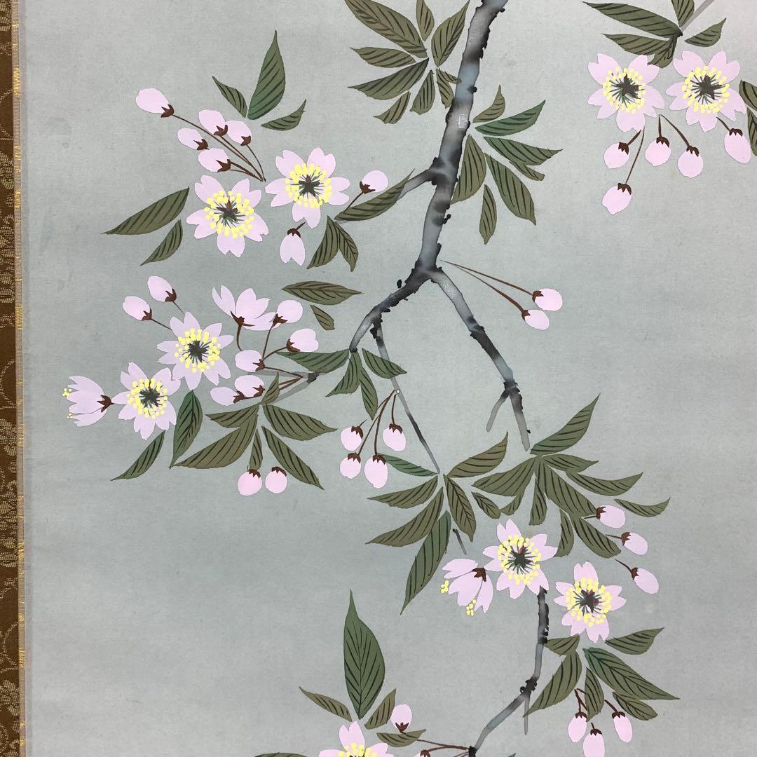 掛軸 秋峰 夜桜 共箱 春 月 満月 花 桜 5-14
