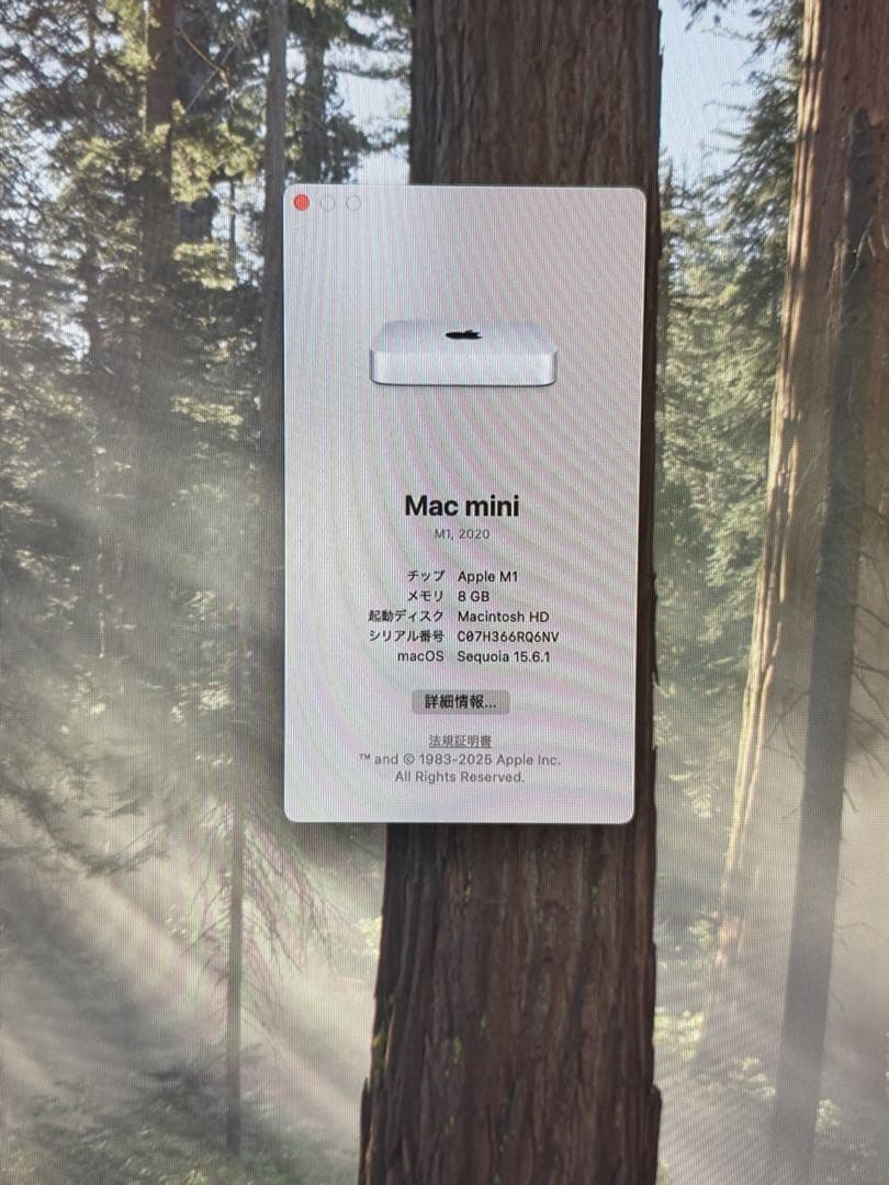 Mac mini M1 本体　純正キーボード　トラックパッド　マウス　フルセット