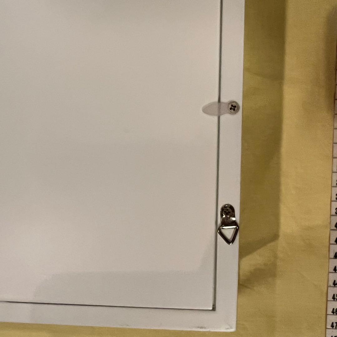 大型　額入り　クリスマス　プリザーブドフラワー　アレンジメント インテリア