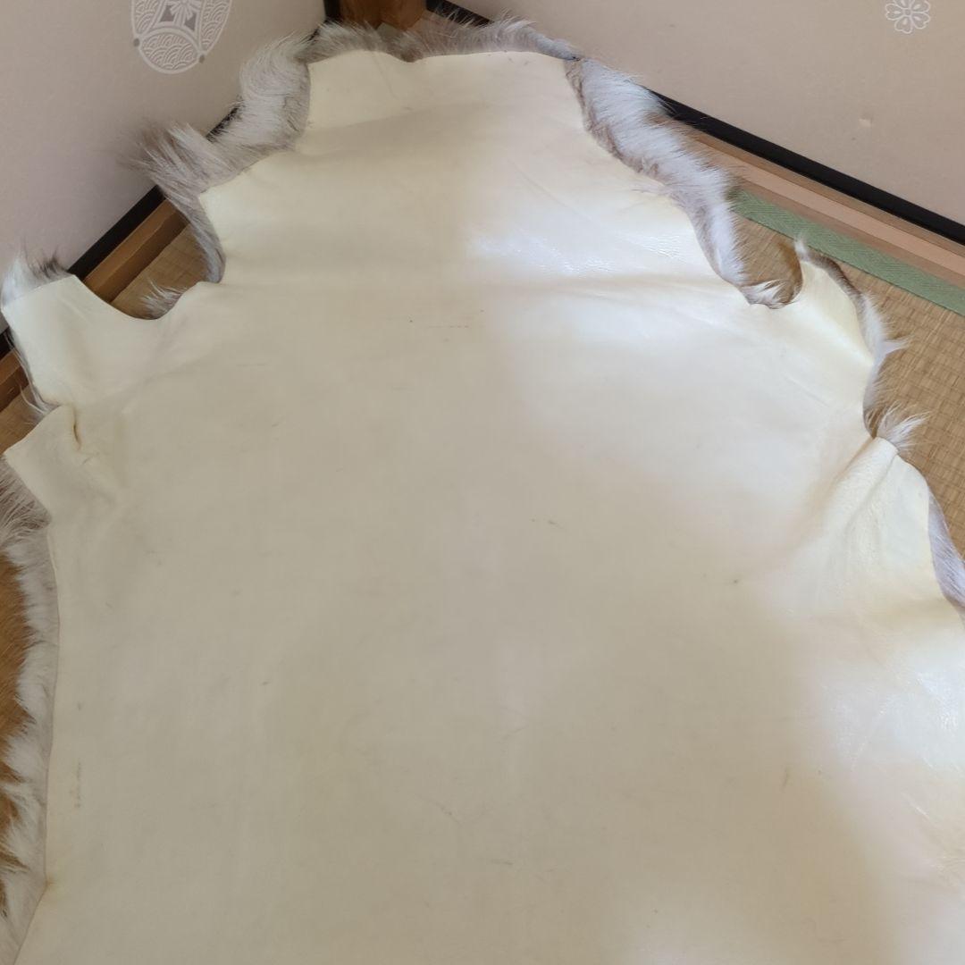 格安☆美品☆トナカイ一頭分の毛皮☆ 特大ラグマット