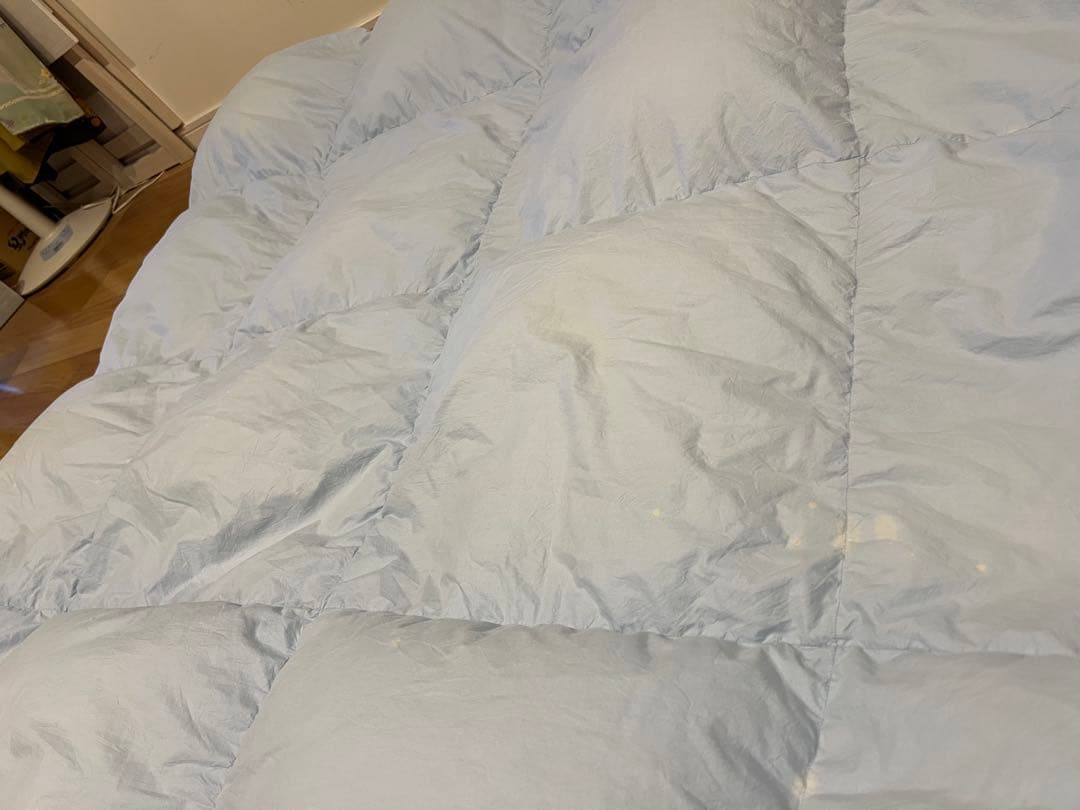 ポーランドグースダウン90% ドイツ製「セダウナ」　シングル 1.1k 軽量