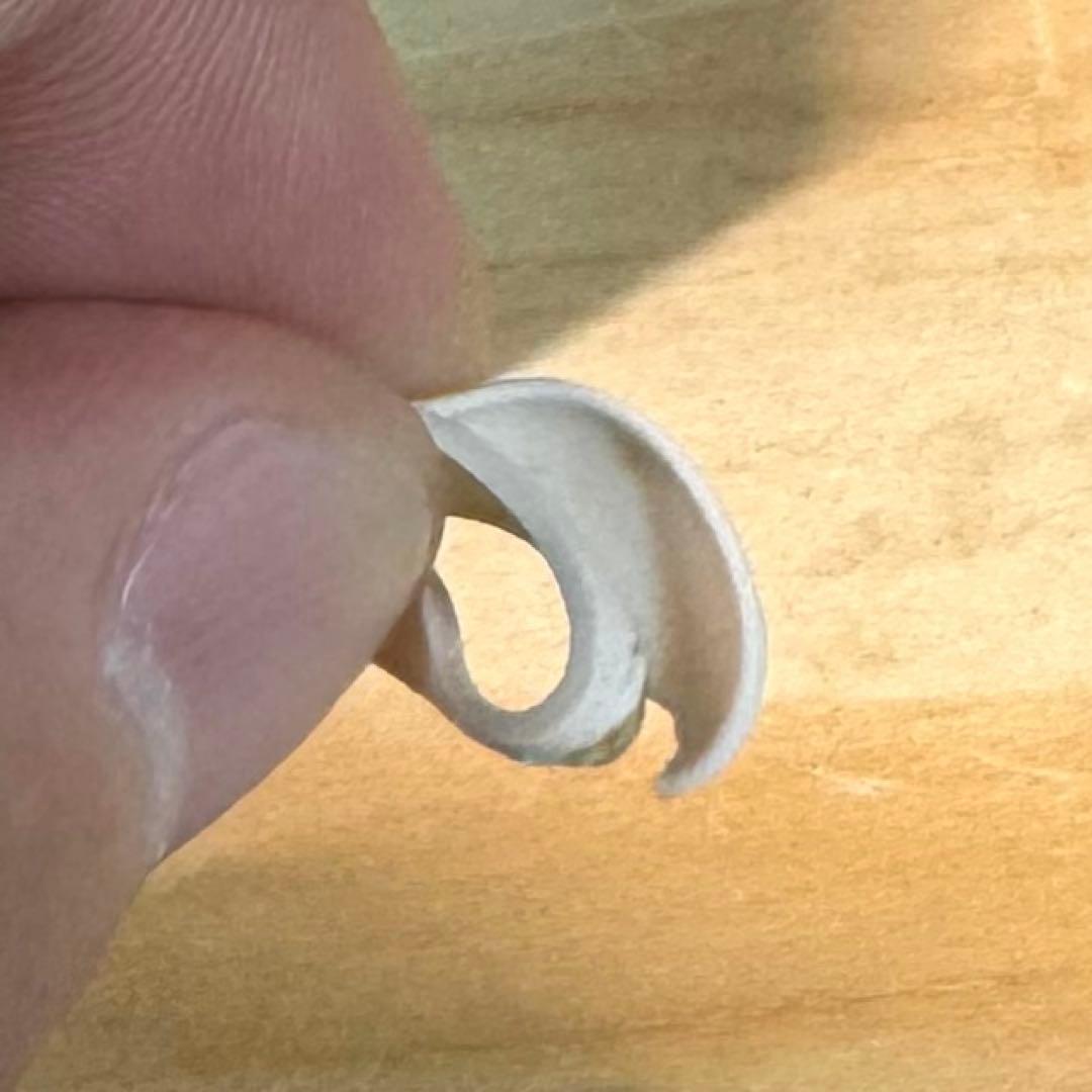 Bose QuietComfort Earbuds II ホワイト