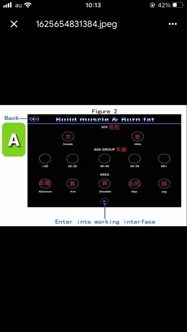 EMS 電磁パルス痩身　業務用痩身マシン　スカルプト　ダイエット