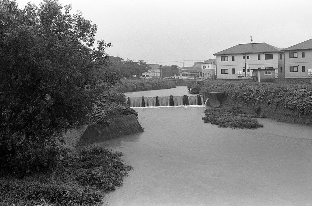 【整備済完動品】Canon AE-1 PROGRAM+FD 50mm F1.4