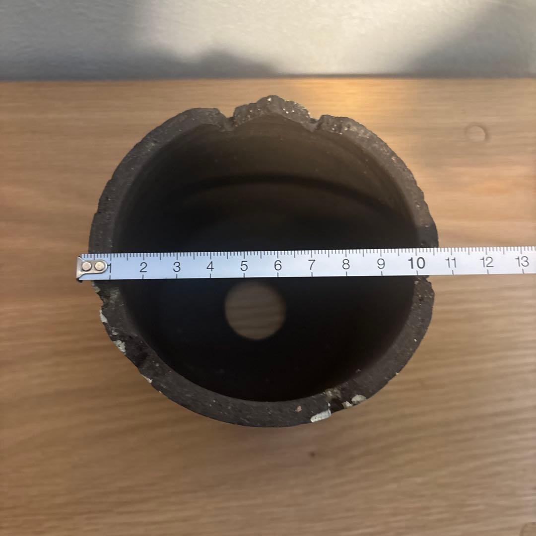 GOUJIN x BOTANIZE tutu 5PM スペシャルコラボ