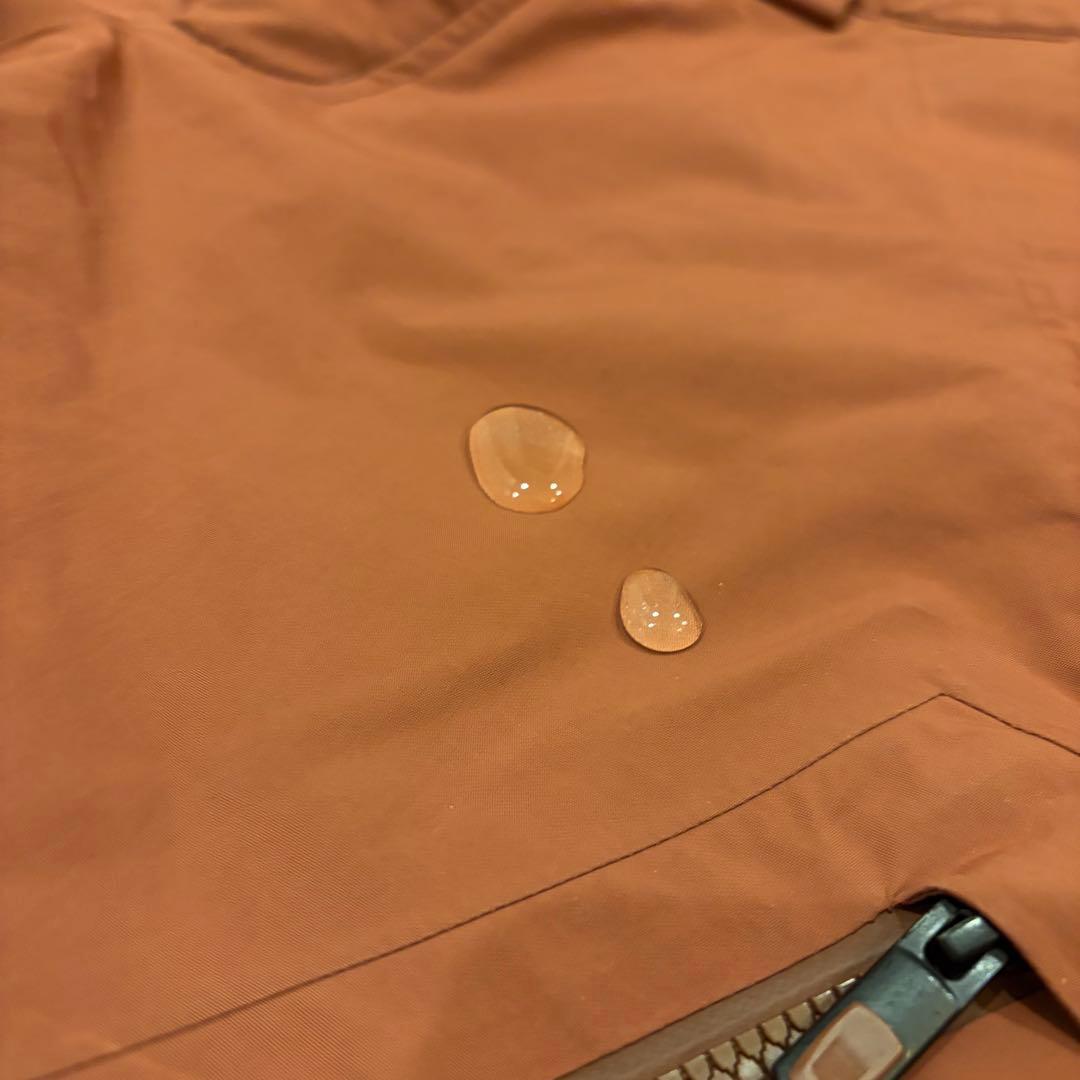 Burton [ak] GORE-TEX スノボパンツ ブラウン cyclic