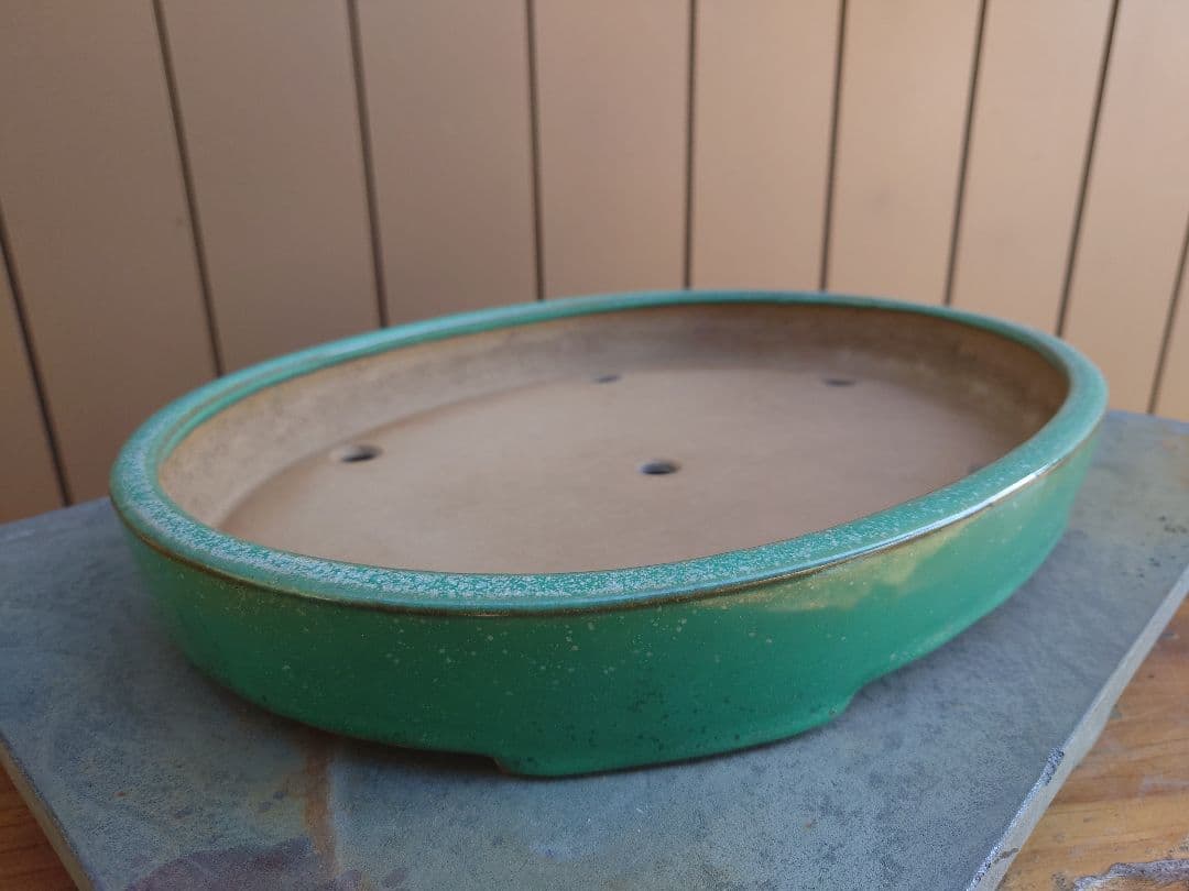 盆栽　鉢　山房　幅40.8cm