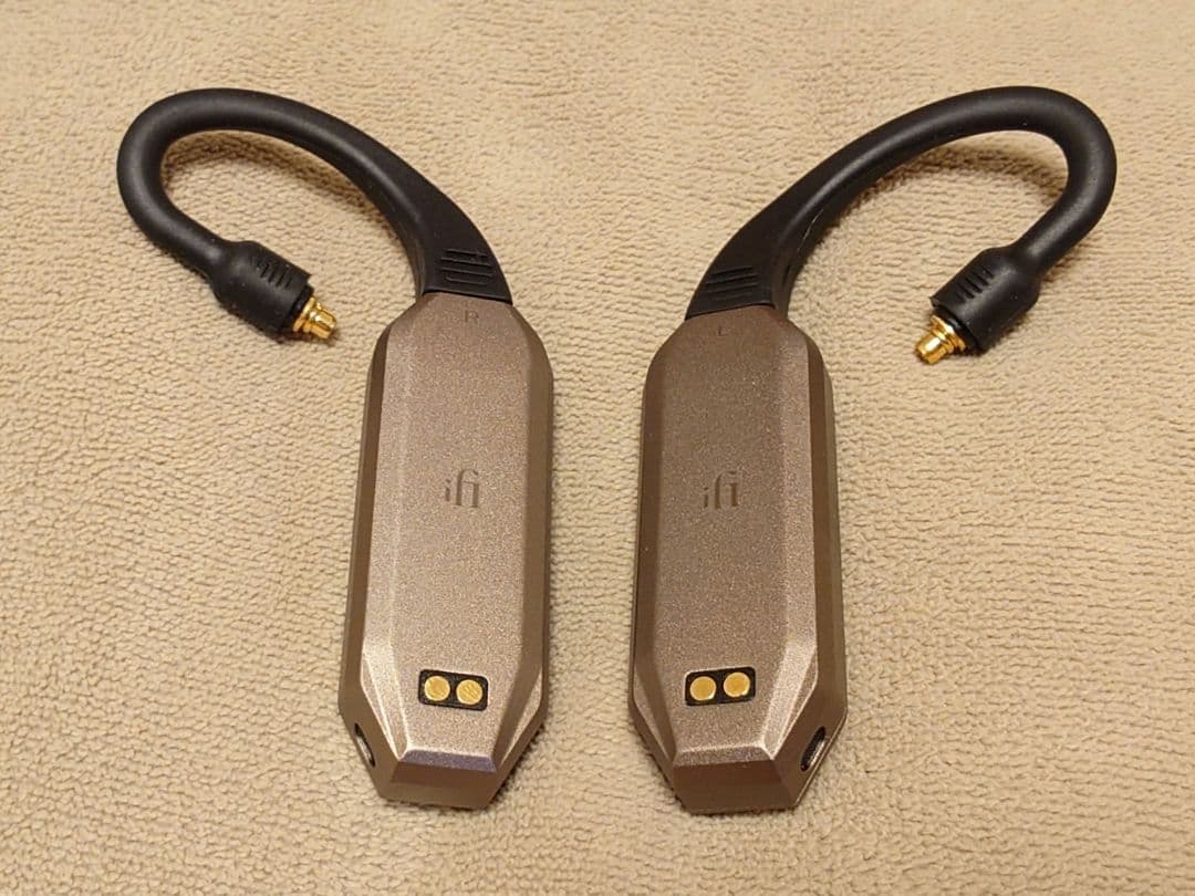 iFi GO pod Max 初回限定セット 国内正規品