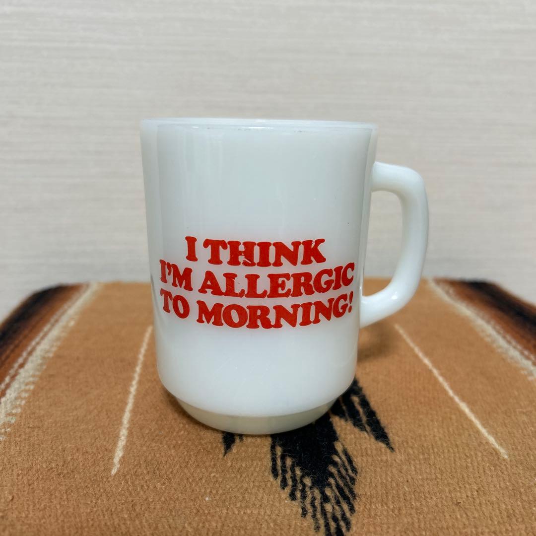 ビンテージ食器スヌーピー アンティーク食器 ファイヤーキング ミッドセンチュリー