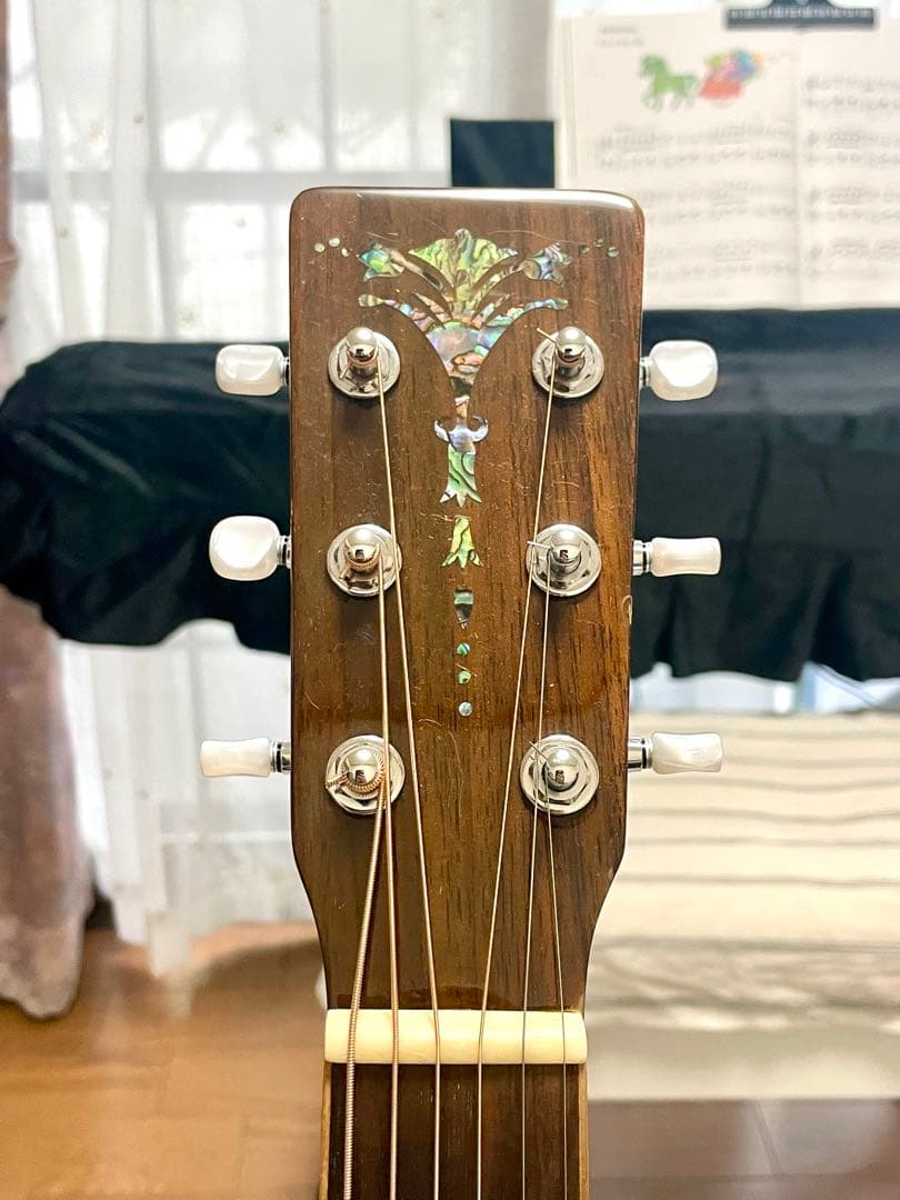 アコースティックギター　ARIA ADL-01 N GOTOHぺグ