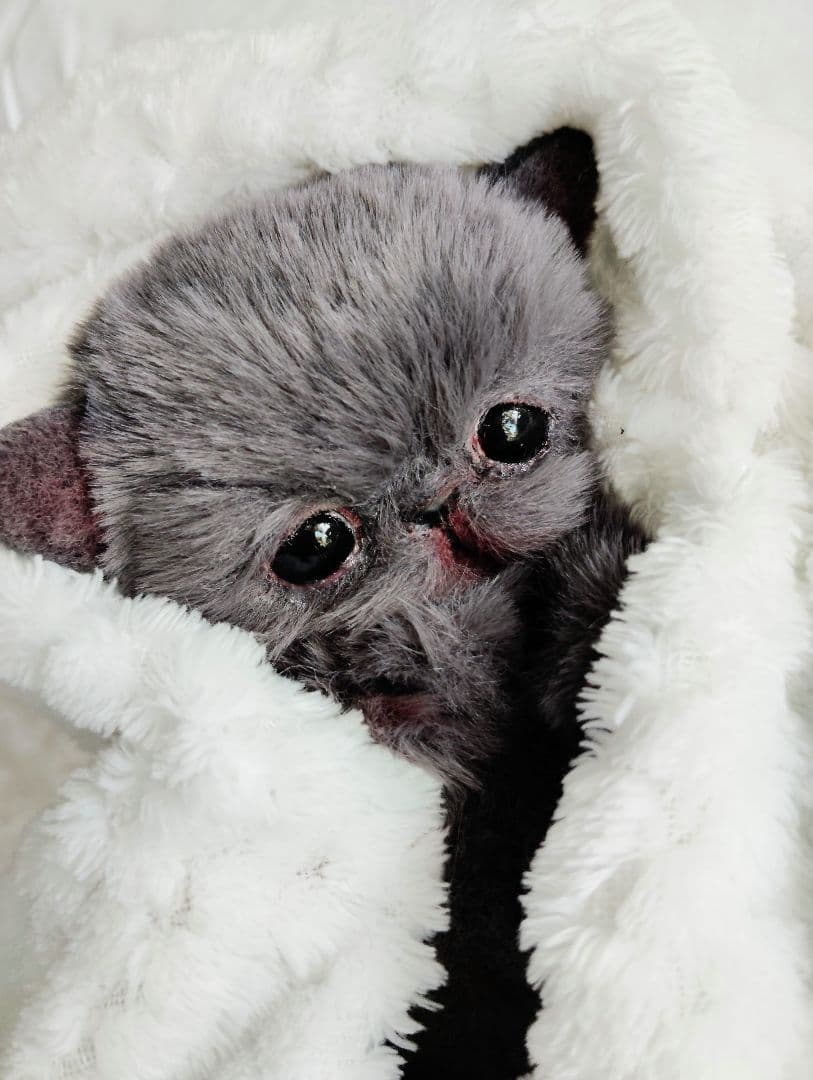 ミントグリーン様御予約❤️くりくりオメメ♡生後２週間♡子猫の黒豆ちゃん