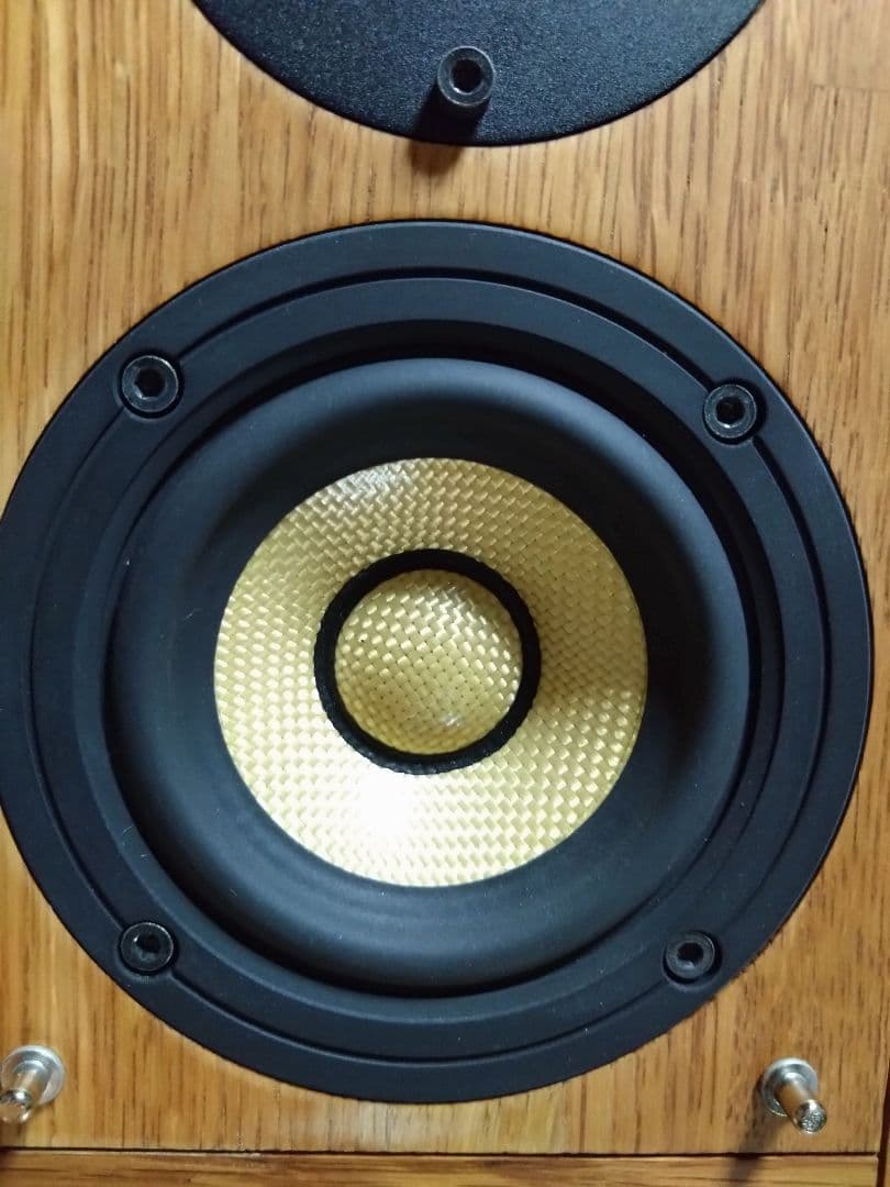 美品Pioneer S-A4SPT-PM スピーカー、ウイスキーモルト木材使用