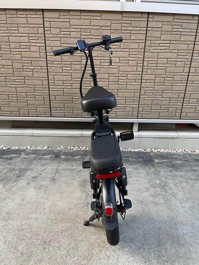 【東京スラムダンク】電動自転車48V/20ahアクセル付き