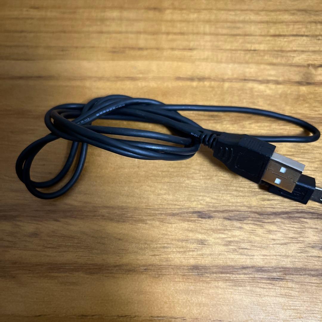 ビデオカメラ Canon iVIS HF M31 SDカード付き