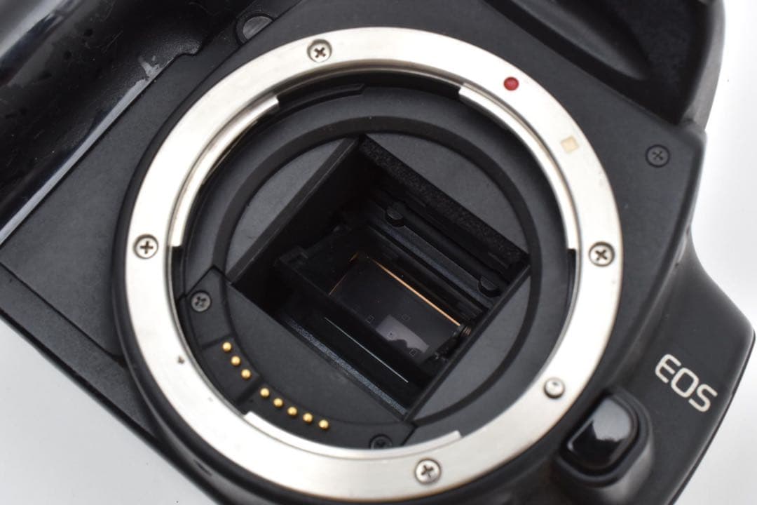 canon kiss Digital N/EF 35-135㎜/シグマ28-80