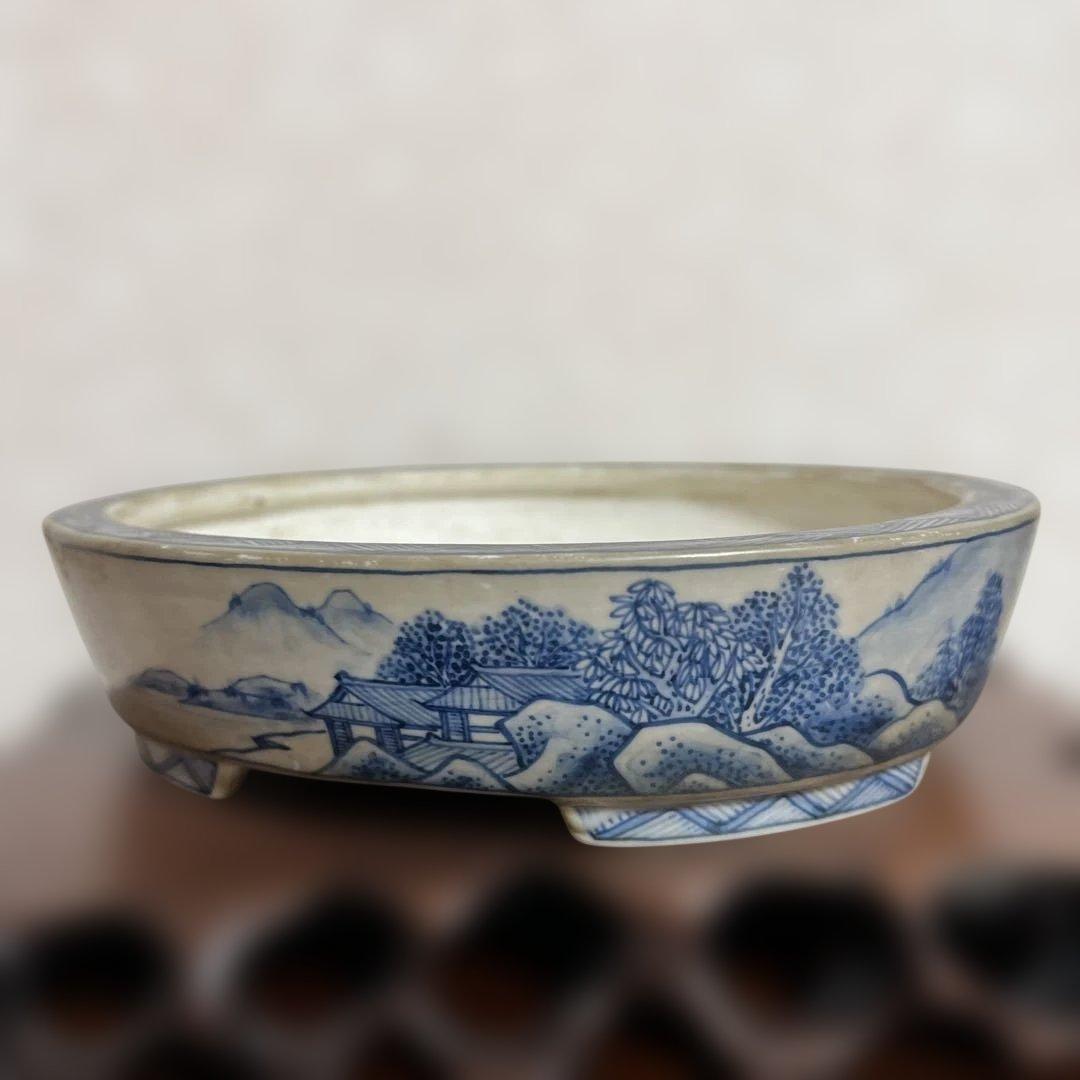 盆栽鉢　　月香