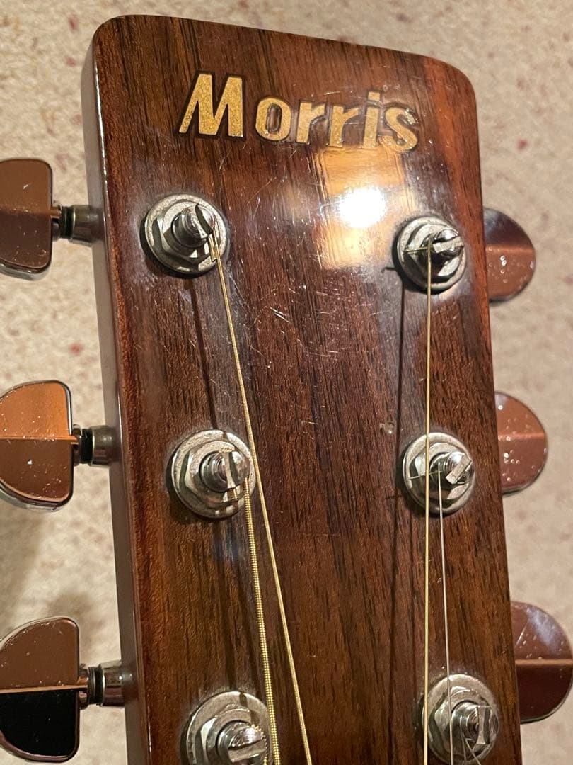 Morris MD-502/L.R.Baggsピックアップ付き