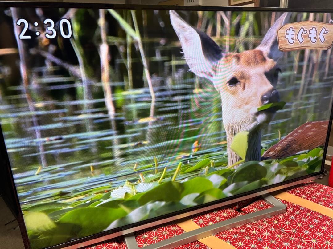 TOSHIBA LED REGZA 50G9 50型