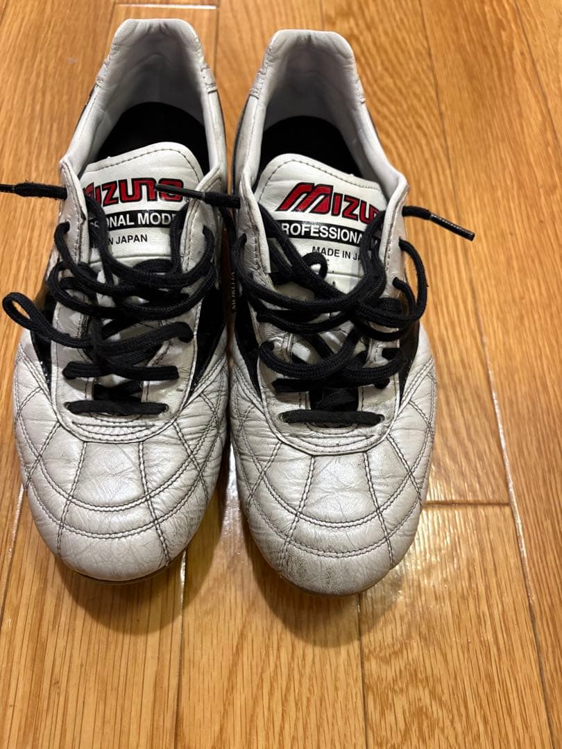 モレリア2JAPAN 25.0