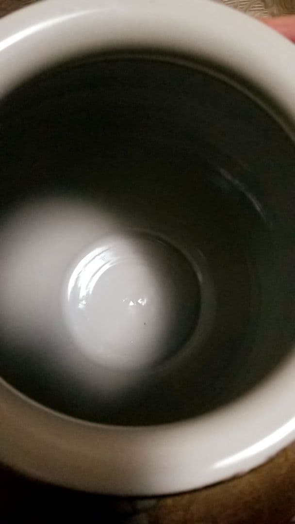 九谷焼 丸泉 大きな壷 金彩 群鶴 縁起