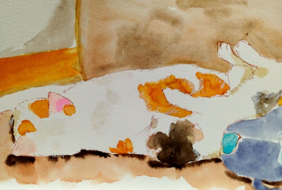 にゃっちページ